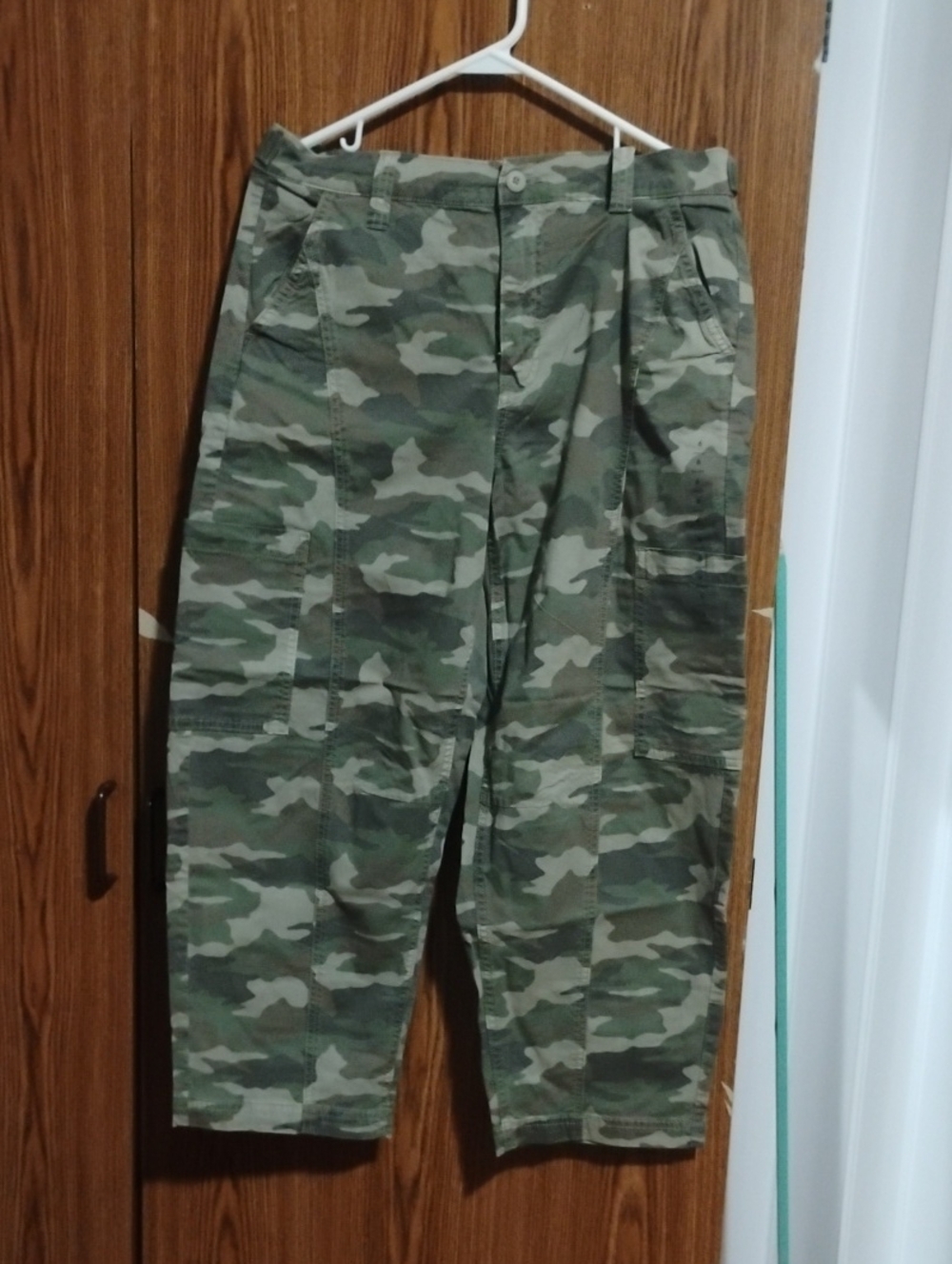 American Eagle Outfitters Men's Green Camo Cargo Pants
